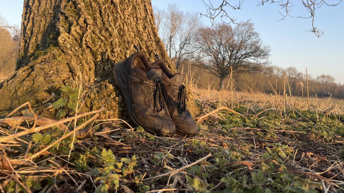 Keen Hightrail EXP on a tree