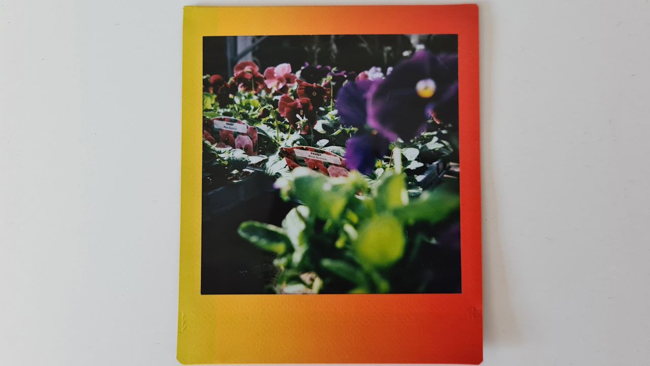 Fujifilm Instax SQ1