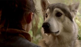 Maisie Williams as Arya with her dire wolf Nymeria on HBO's Game Of Thrones