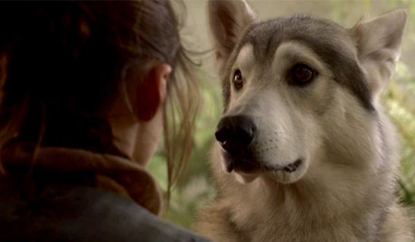 Maisie Williams as Arya with her dire wolf Nymeria on HBO&#039;s Game Of Thrones