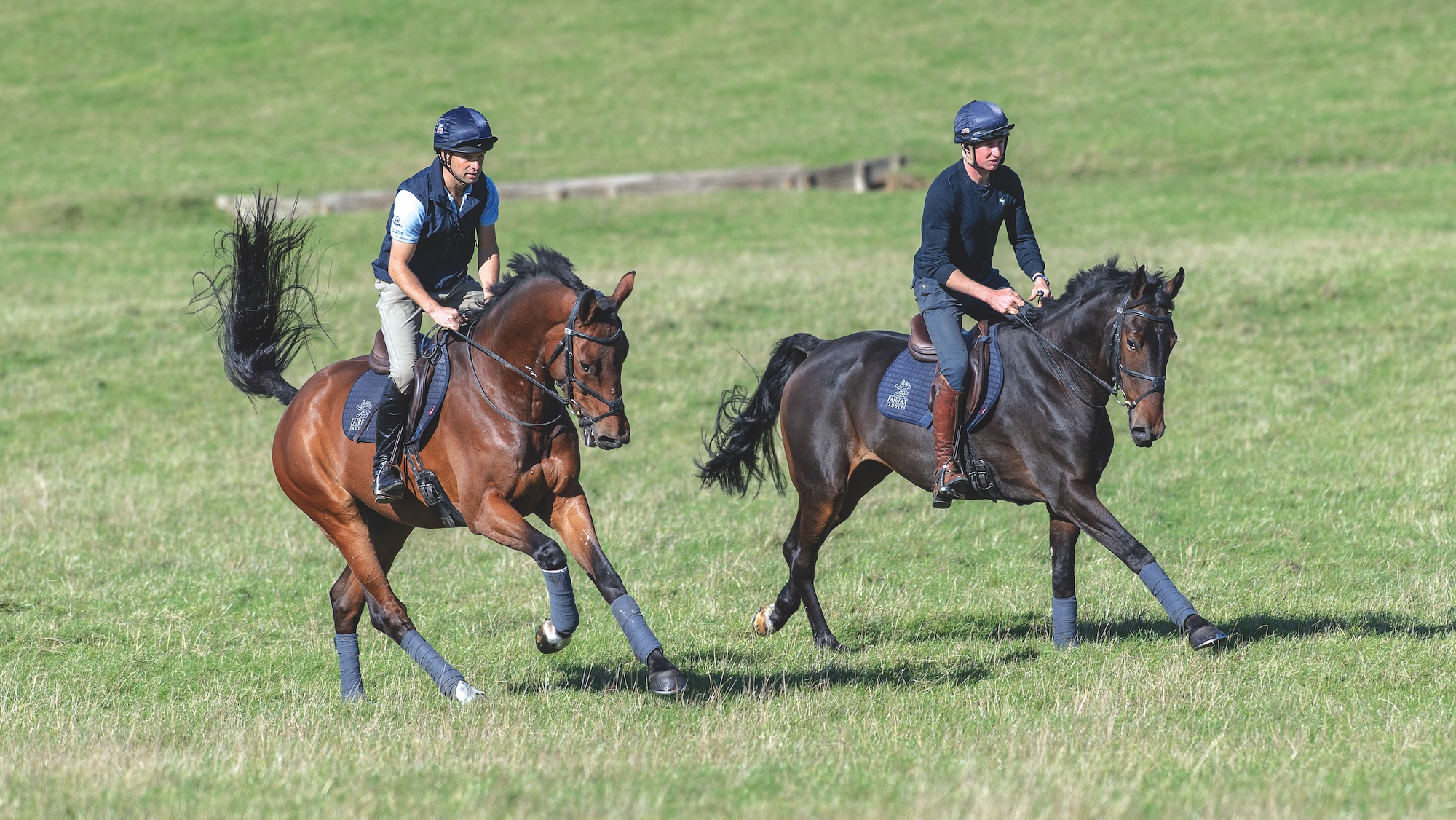 Two horses cantering on grass