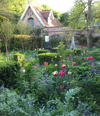 green garden with red flowers