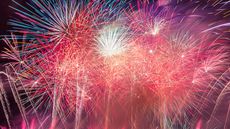 firework inquiry