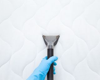 Rubber glove hand and vacuuming mattress topper surface