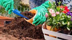 person putting soil into a plant pot