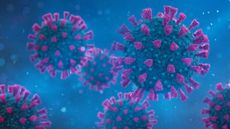 illustration of several coronavirus particles