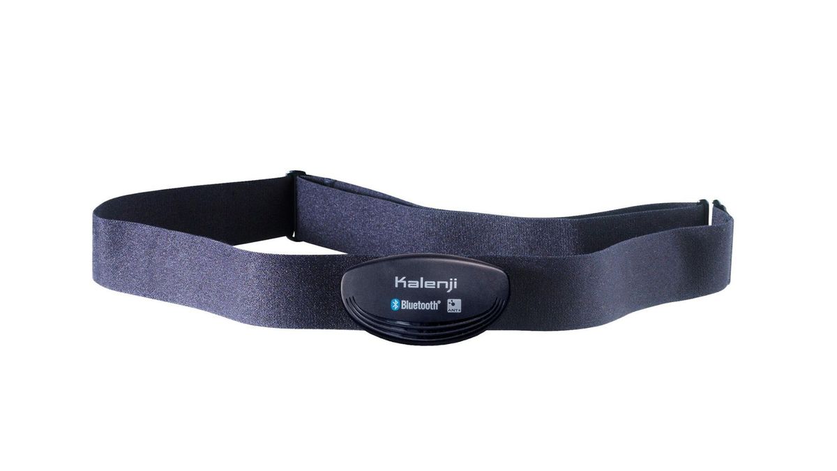 The Best Cheap Heart Rate Monitors Coach