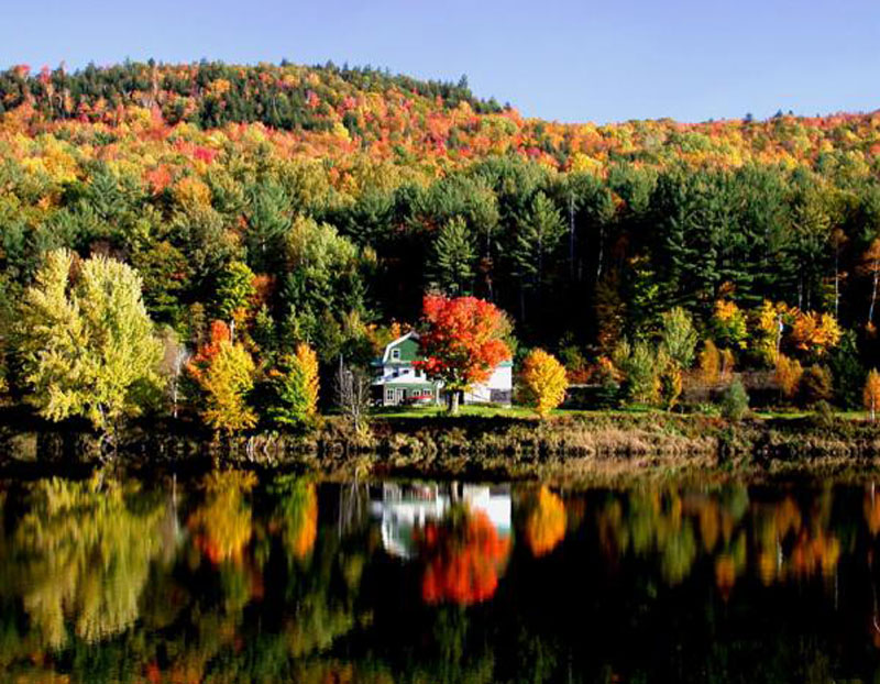 The colorful foliage of autumn
