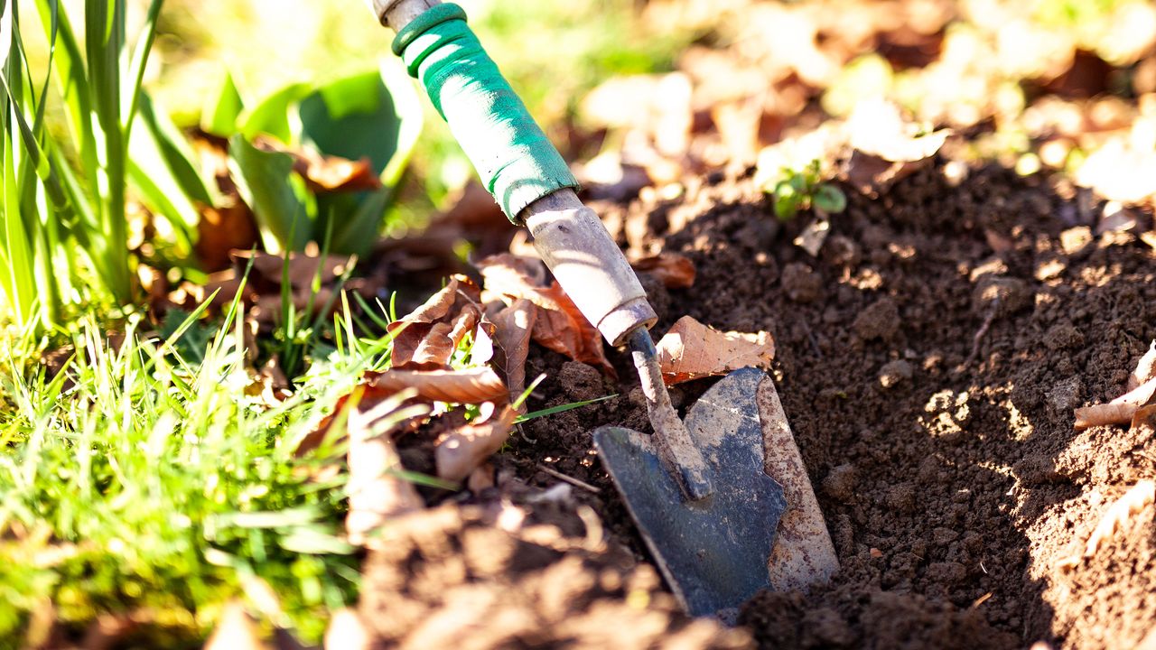 small garden trowel in the soil