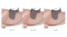 T13-Illustration-Centaur-HandH-2_371364281_628285541.jpg