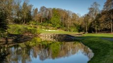 Druids Glen - Hole 12