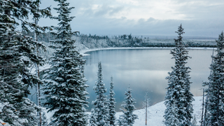 Yellowstone in snow