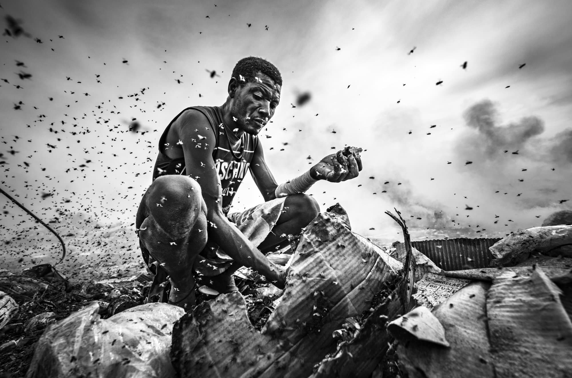 A person crouches amid a swirling mass of flies, examining debris with focus. The monochrome image conveys a somber, tense atmosphere