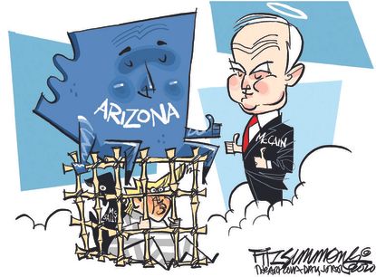 Political Cartoon U.S. Arizona McCain Trump McSally loss