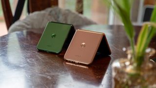 The folded backs of the Motorola Razr Plus 2024 in Green and Motorola Razr Plus 2025 in Mocha