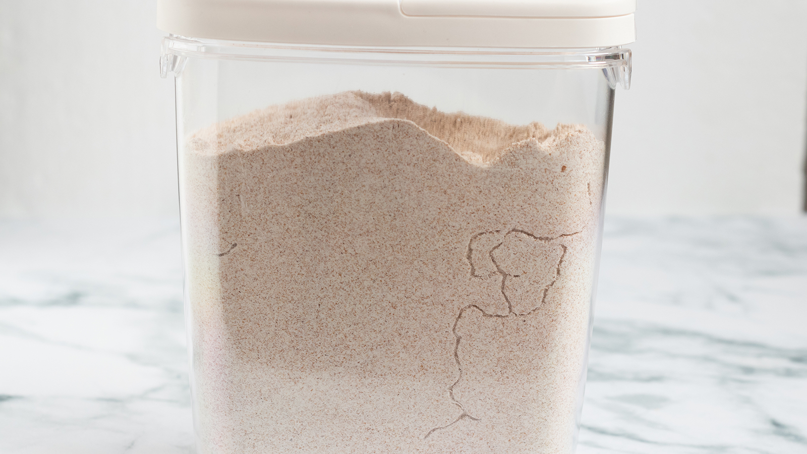 Meal moths path in flour