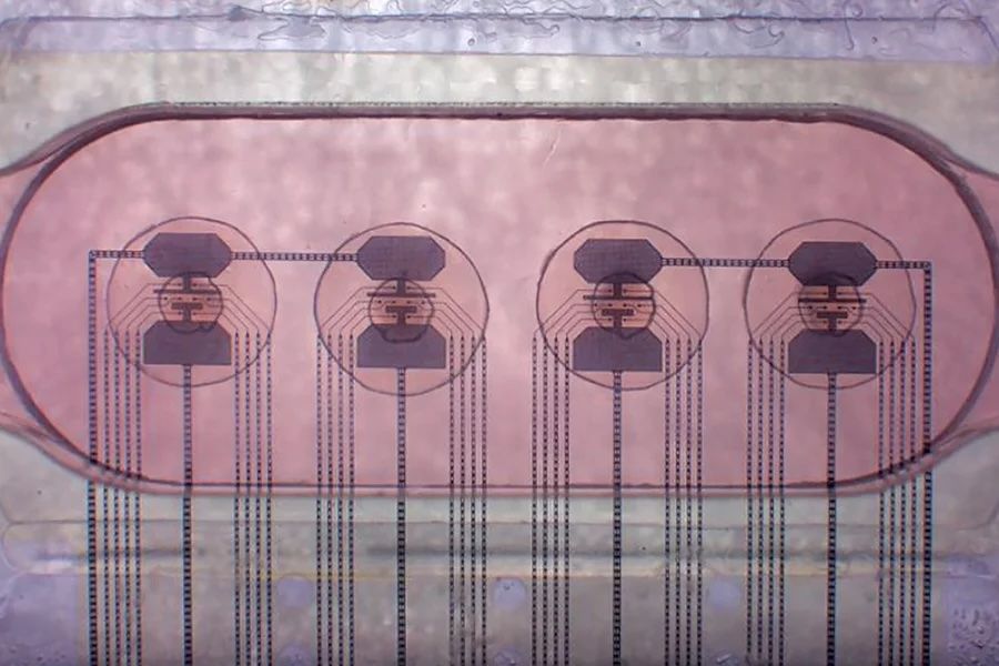 A series of electrodes on a transparent pink background