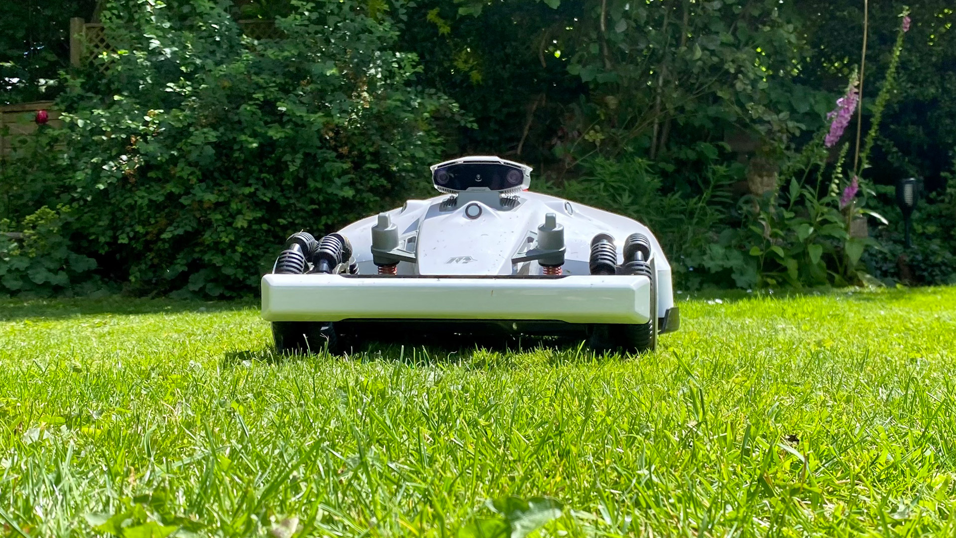 Mammotion LUBA 2 AWD on a lawn
