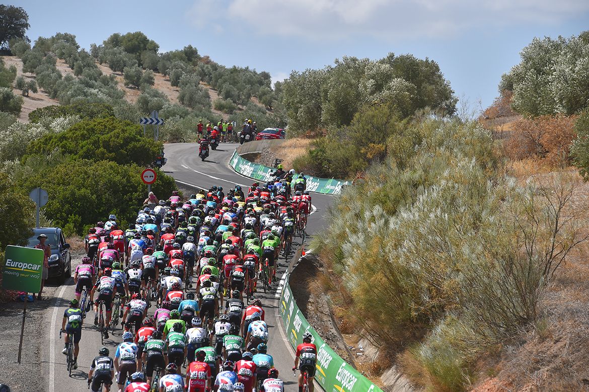 The peloton on one of the few rises during the stage