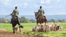 Bedale-Hunt-event-National-Trail-Hunting-Day-10th-October-2025-image-5-copyright-Nina-Edminson-Photography.jpg