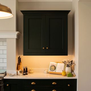 dark green shaker kitchen unit with hidden LED lighting