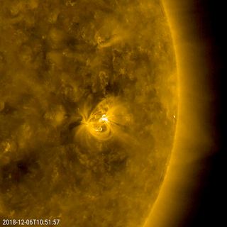 This average-size display of solar activity occurred on Dec. 5. Pictured here, via ultraviolet light wavelength, is a part of the sun's southern hemisphere with several magnetic loops. As the sun continues approaching solar minimum, fewer active regions will appear.