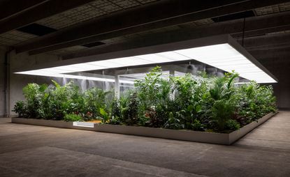 花园ARoS奥胡斯艺术博物馆推出了雄心勃勃的三年展