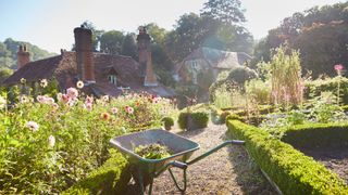 English cottage garden