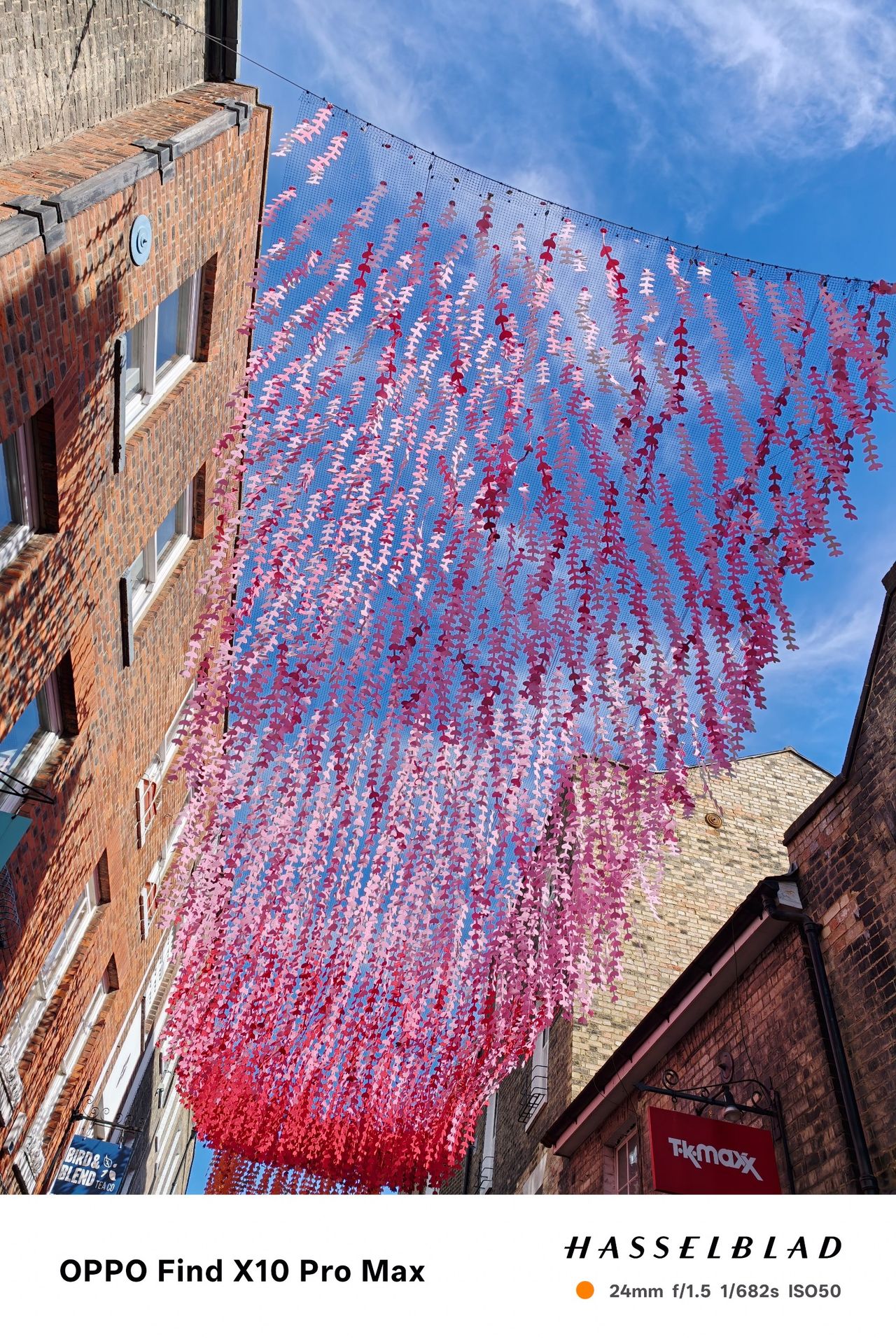 Pink hanging decorations suspended between brick buildings against a blue sky.