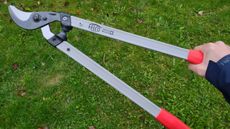Our reviewer holding the Felco 211-60, on a lawn. 