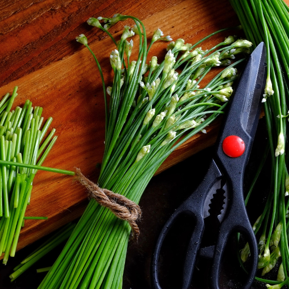 fresh garlic chives 