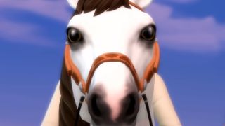 The Sims 4 - A clsoeup of a white horse wearing a bridle looking into the camera