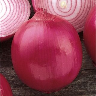 Red Creole Onion