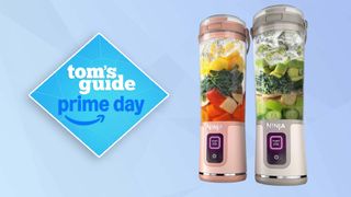 Ninja portable blender
