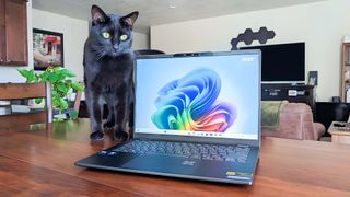 Black cat standing on a table next to Acer Swift 14 AI.