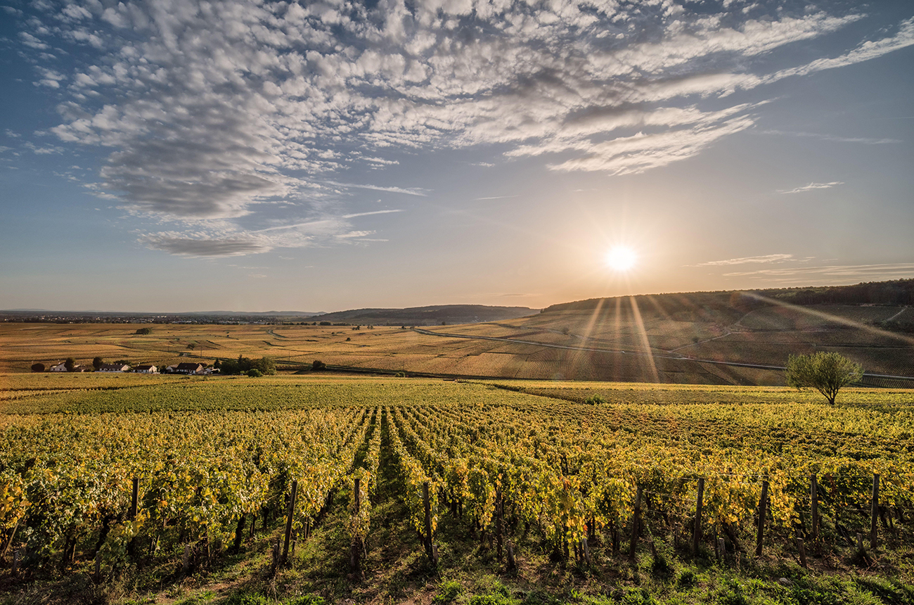 Jean-Fran&amp;ccedil;ois Coche-Dury