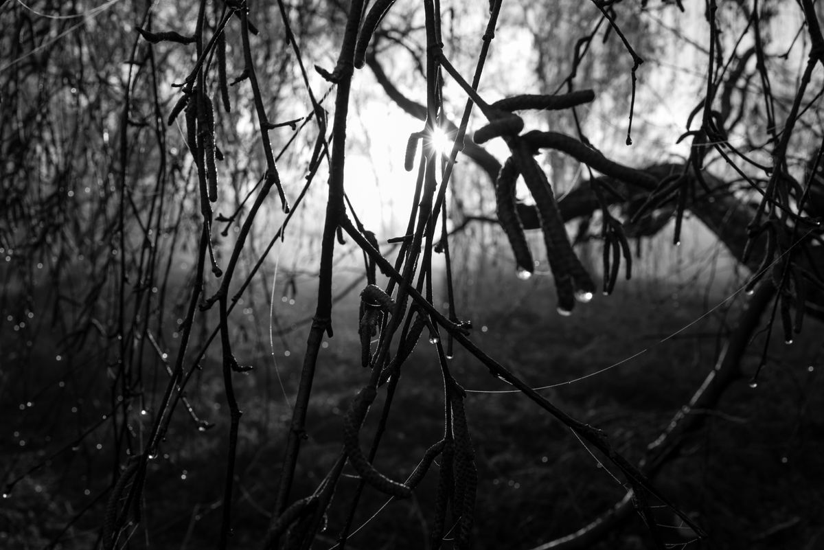 Leica Q2 Monochrom