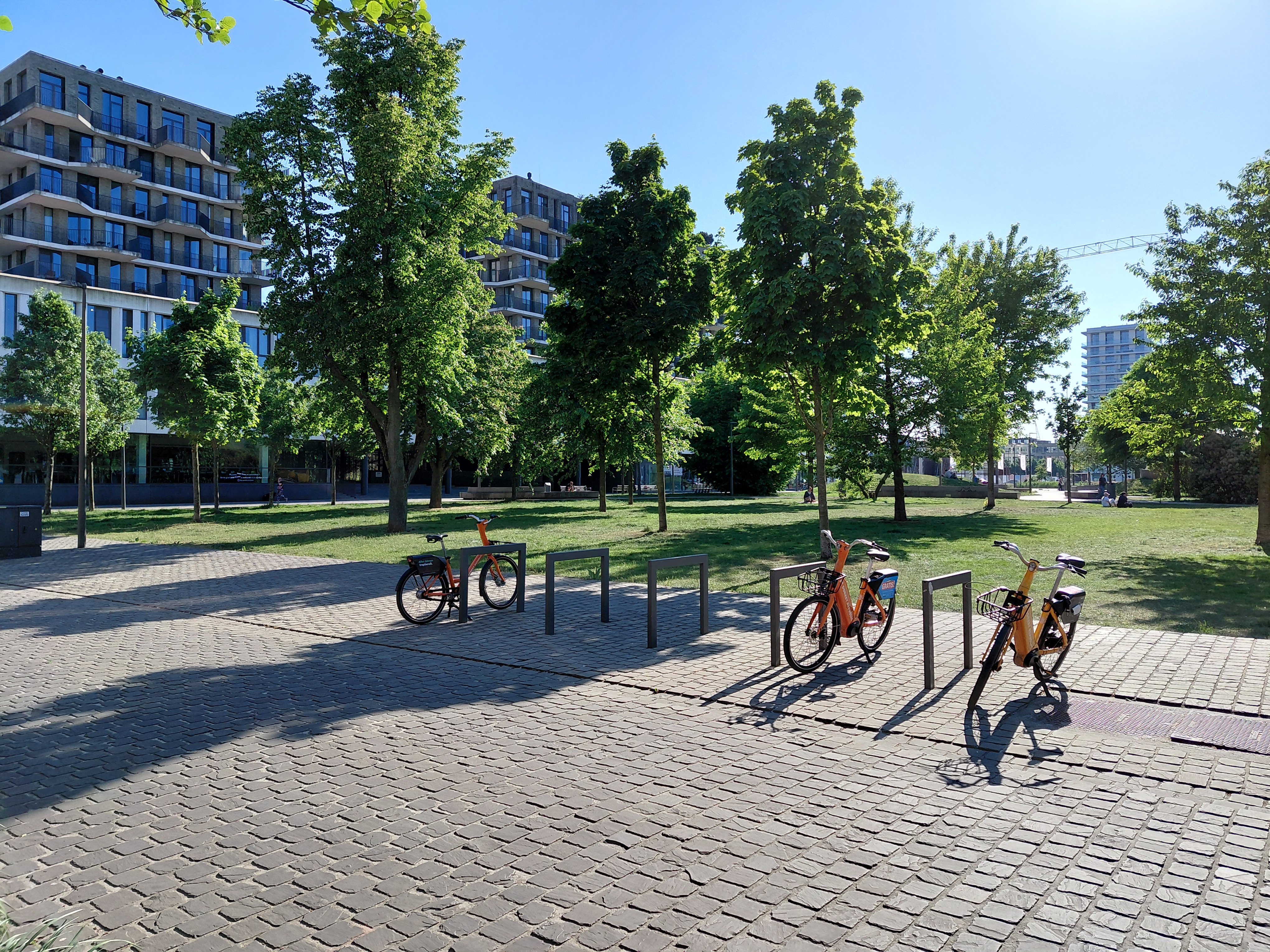 Samsung Galaxy A36 voorbeeldfoto