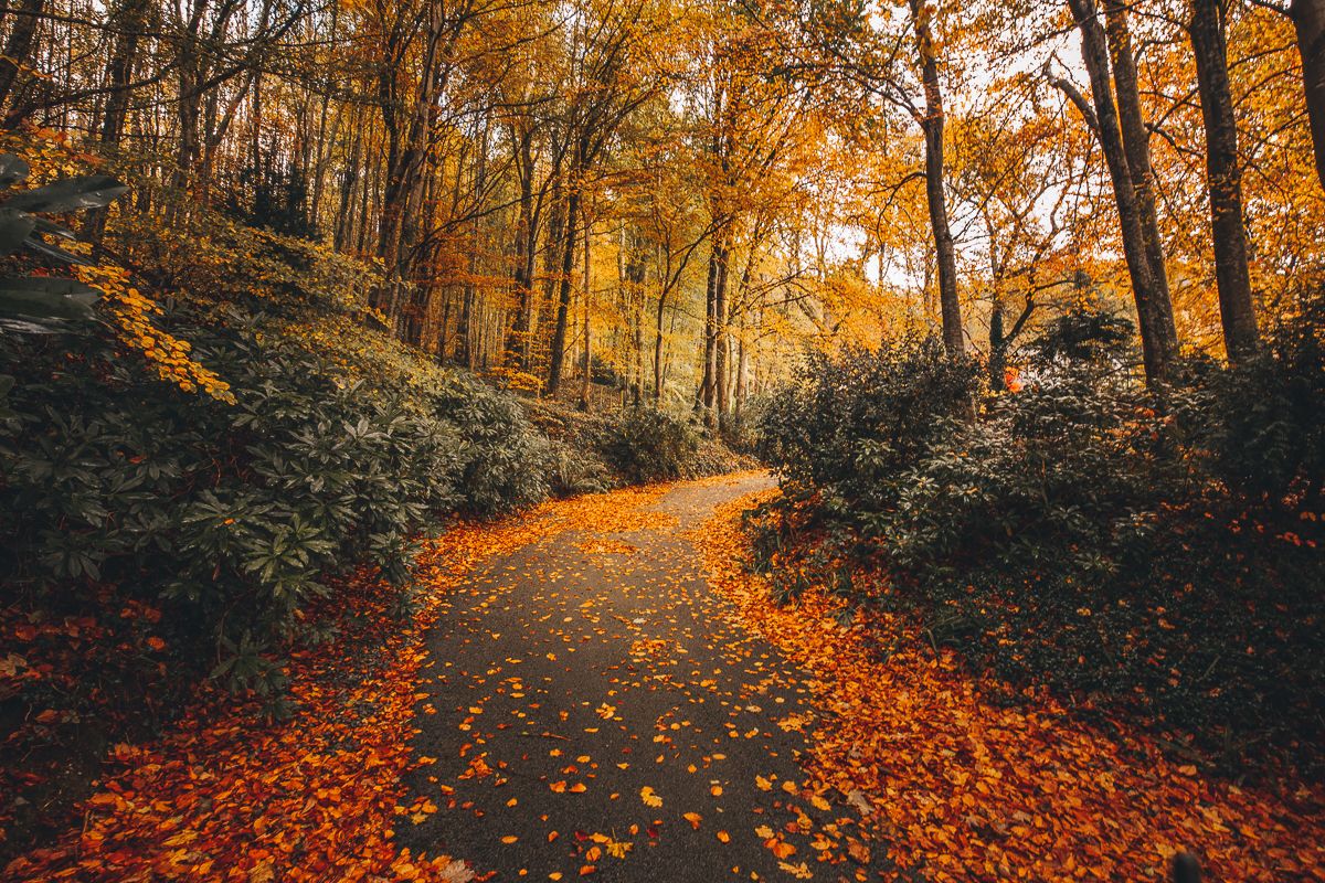 4 tips for fall photography: make landscape shooting simple! | Digital ...