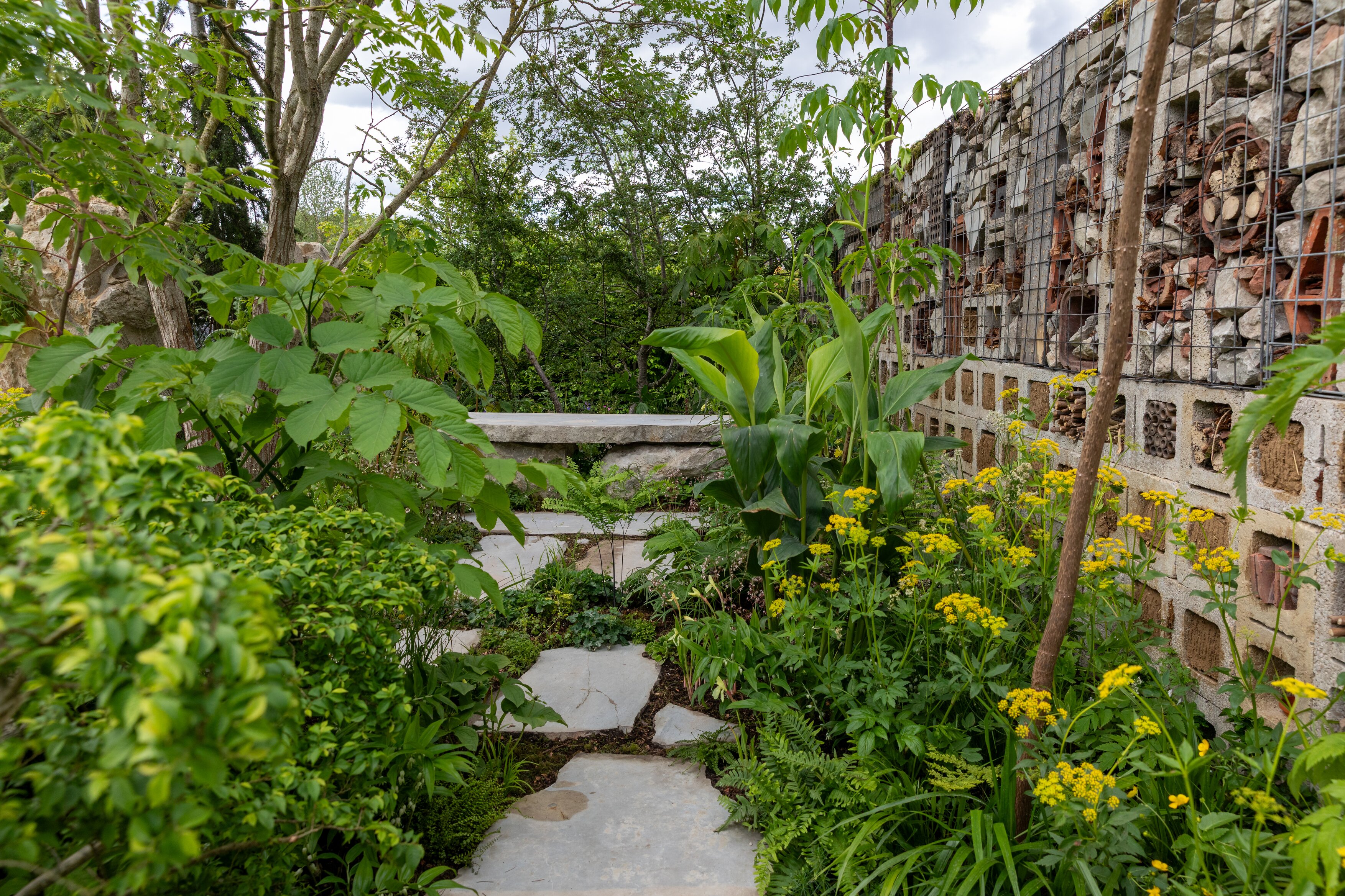 YoungMinds Garden. Designed by Charlie Chase. All About Plants. RHS Chelsea Flower Show 2026. Site no. 116