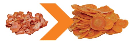 carrots460.jpg