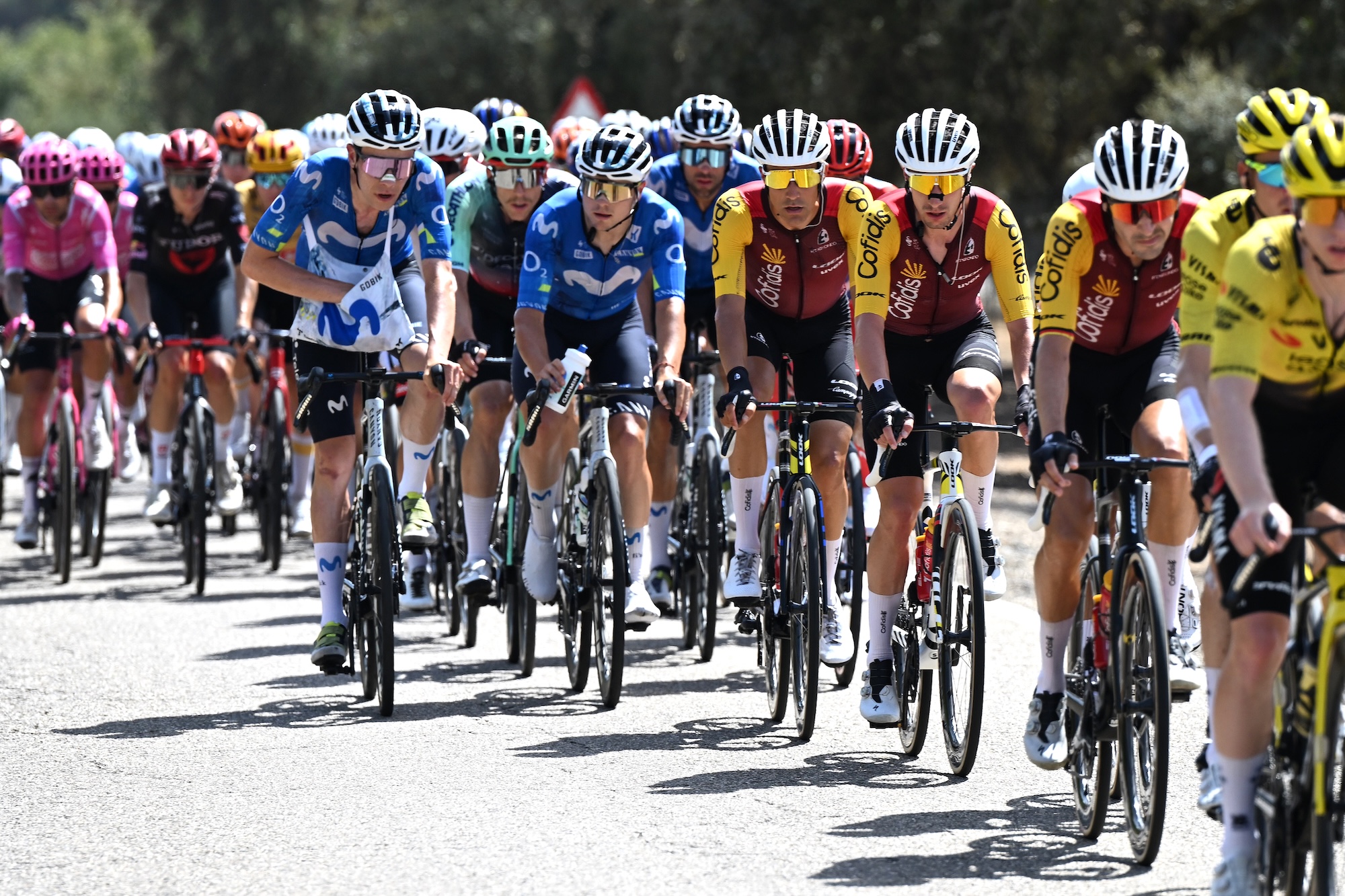 Peloton on stage 15