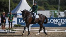 World Para Dressage Championships results Michael Murphy