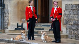 Members of the Royal Household stand with the Queen's royal Corgis, Muick and Sandy