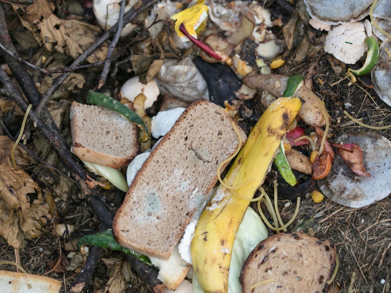 Compost Pile Of Vegetables And Bread