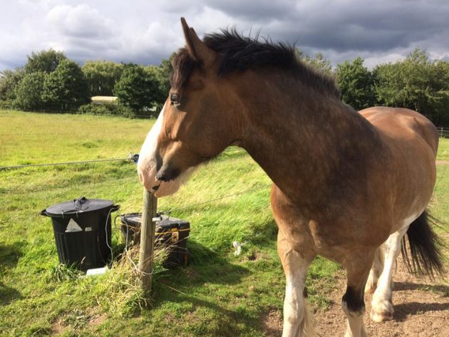 hovis-2-e1505987759340.jpeg