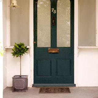 green front door with glass panels