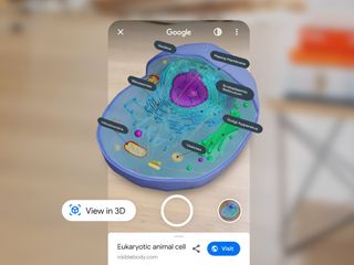 Google Ar Animal Cell