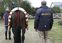 security-hr21.jpg