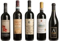 top Amarone Panel Tasting